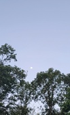 Enlarge photo 191