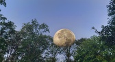 Enlarge photo 197