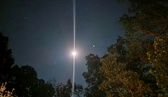 Enlarge photo 206
