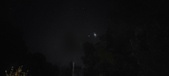 Enlarge photo 205