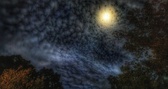 Enlarge photo 210