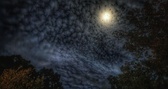 Enlarge photo 209