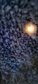 Enlarge photo 208