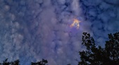 Enlarge photo 207