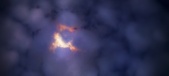 Enlarge photo 213