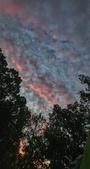 Enlarge photo 218