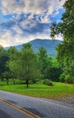 Enlarge photo 237