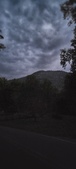 Enlarge photo 242