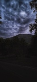Enlarge photo 241