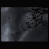 Enlarge photo 256