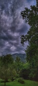 Enlarge photo 260