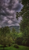 Enlarge photo 261