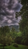Enlarge photo 262