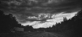 Enlarge photo 264