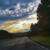 Enlarge photo 270