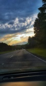 Enlarge photo 265