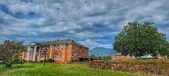 Enlarge photo 269