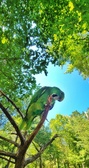 Enlarge photo 379