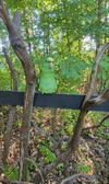 Enlarge photo 396