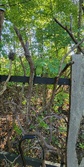 Enlarge photo 397