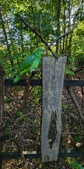 Enlarge photo 398