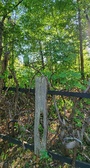 Enlarge photo 399