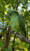 Enlarge photo 403