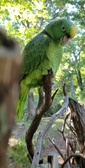 Enlarge photo 407