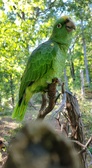 Enlarge photo 408