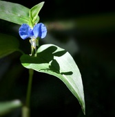 Enlarge photo 43