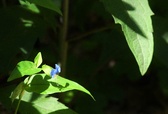 Enlarge photo 48
