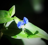 Enlarge photo 52