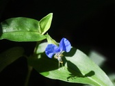 Enlarge photo 55