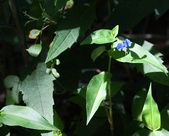 Enlarge photo 54