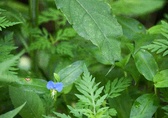 Enlarge photo 57