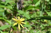 Enlarge photo 82
