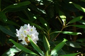 Enlarge photo 83