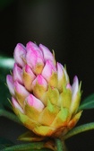Enlarge photo 86