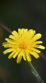 Enlarge photo 88