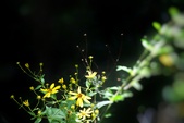 Enlarge photo 102