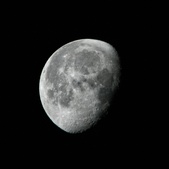 Enlarge photo 113