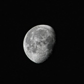 Enlarge photo 115