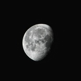 Enlarge photo 117