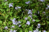 Enlarge photo 326