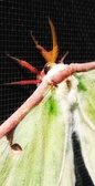 Enlarge photo 151