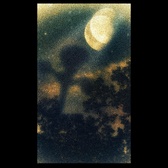 Enlarge photo 130