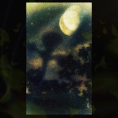 Enlarge photo 134