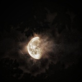 Enlarge photo 136