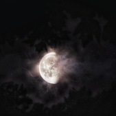 Enlarge photo 135
