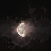 Enlarge photo 142